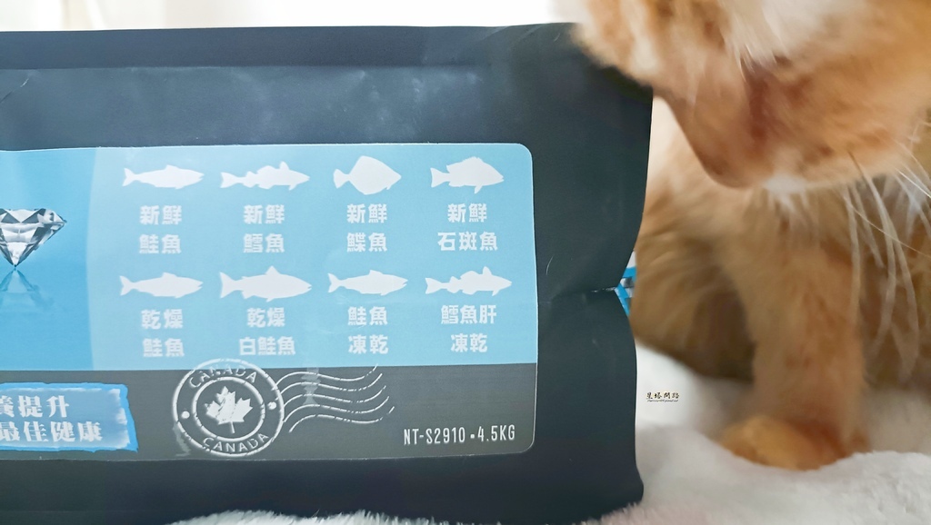 2025飼料推薦｜八犬寵物 Nutrience紐崔斯頂級黑鑽