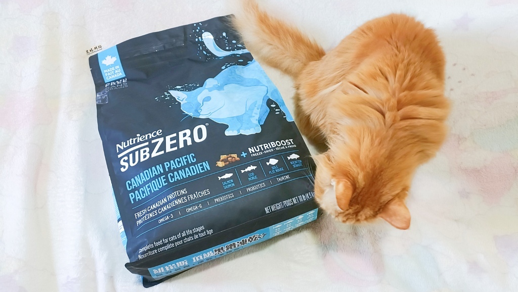 2025飼料推薦｜八犬寵物 Nutrience紐崔斯頂級黑鑽