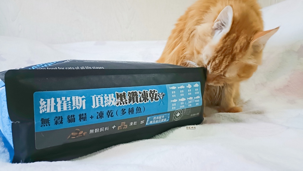 2025飼料推薦｜八犬寵物 Nutrience紐崔斯頂級黑鑽