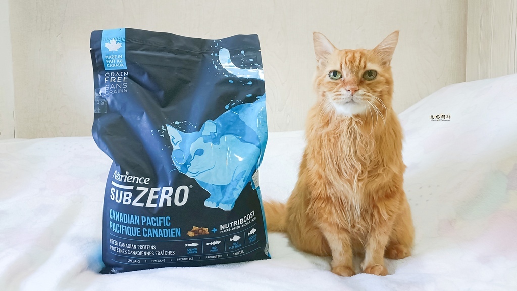 2025飼料推薦｜八犬寵物 Nutrience紐崔斯頂級黑鑽