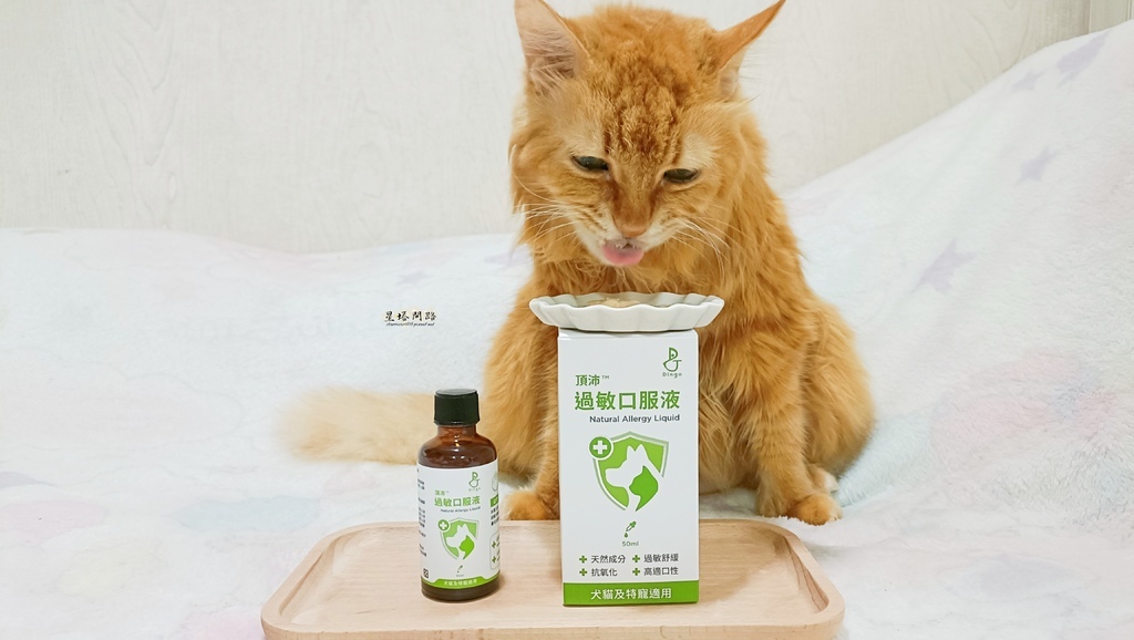 貓咪機能保健品推薦｜Dingo頂沛毛孩過敏口服液 評價、好用