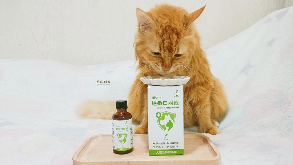貓咪機能保健品推薦｜Dingo頂沛毛孩過敏口服液 評價、好用