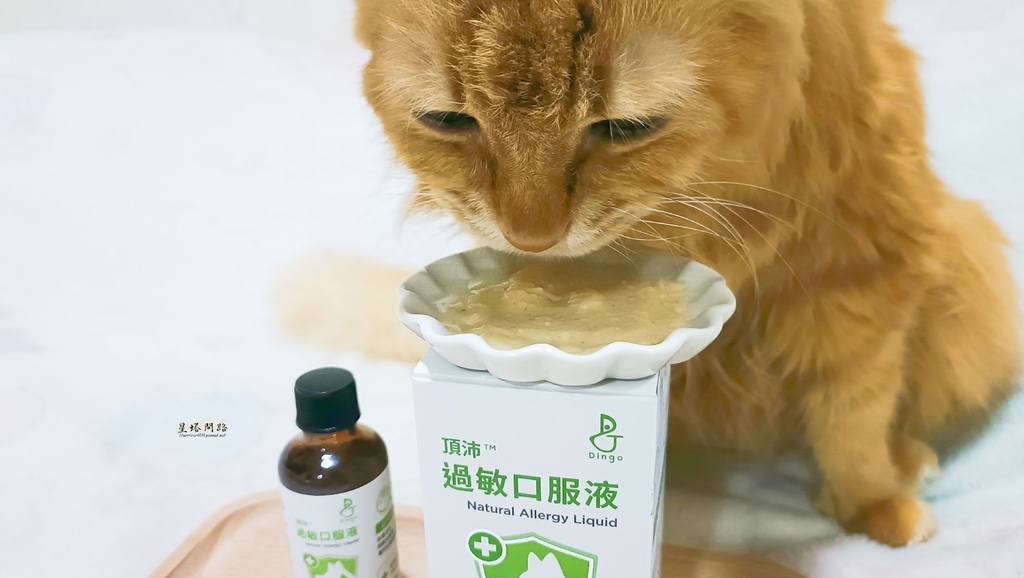 貓咪機能保健品推薦｜Dingo頂沛毛孩過敏口服液 評價、好用