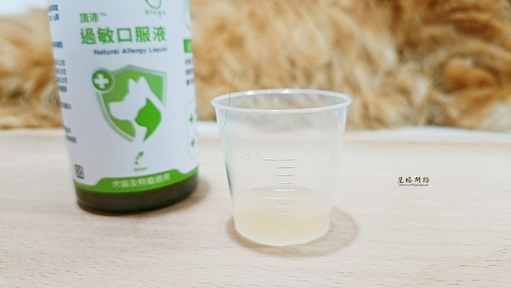 貓咪機能保健品推薦｜Dingo頂沛毛孩過敏口服液 評價、好用