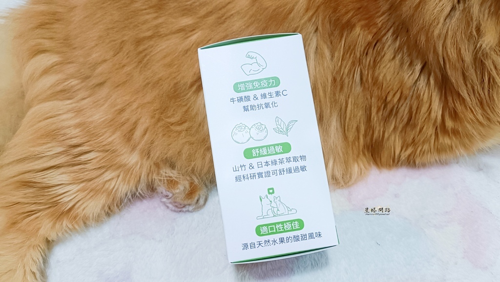 貓咪機能保健品推薦｜Dingo頂沛毛孩過敏口服液 評價、好用