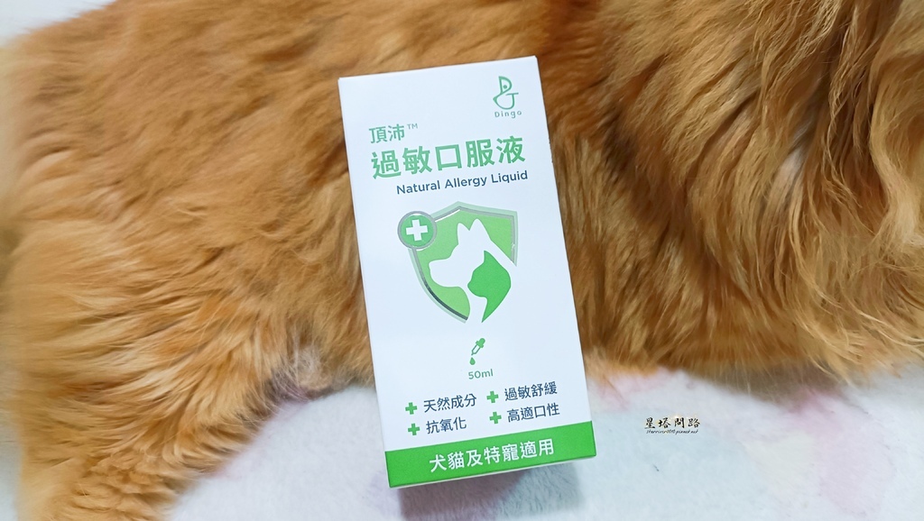 貓咪機能保健品推薦｜Dingo頂沛毛孩過敏口服液 評價、好用