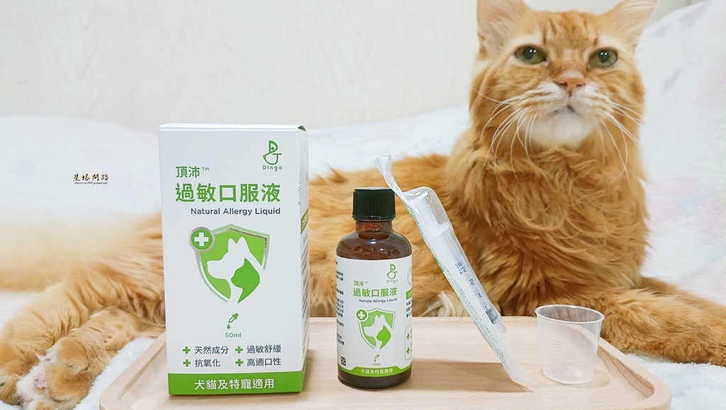 貓咪機能保健品推薦｜Dingo頂沛毛孩過敏口服液 評價、好用