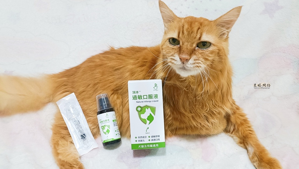 貓咪機能保健品推薦｜Dingo頂沛毛孩過敏口服液 評價、好用