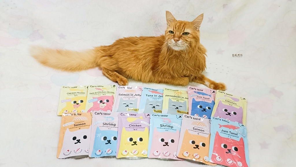 貓咪副食餐包開箱｜Cat's taste貓可滋味評價、好吃嗎