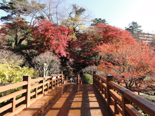 橋 橋
