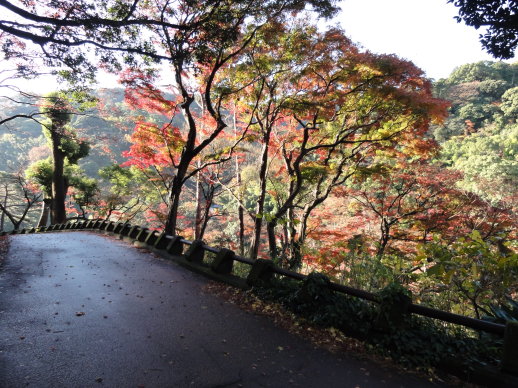 路 路