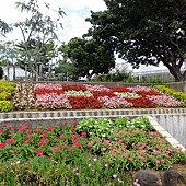階梯式花壇 階梯式花壇