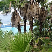 泳池 泳池
