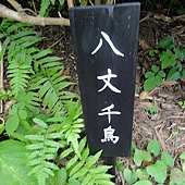 花名 花名