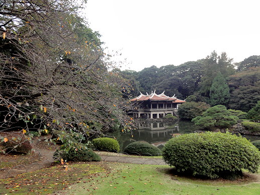 DSC06048.jpg DSC06048.jpg