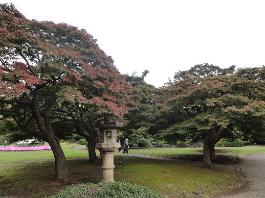 DSC06059.jpg DSC06059.jpg