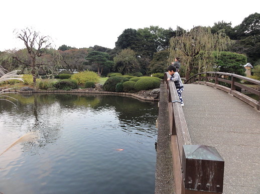 DSC06129.jpg DSC06129.jpg