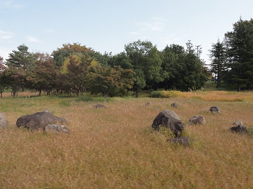 DSC06326.jpg DSC06326.jpg