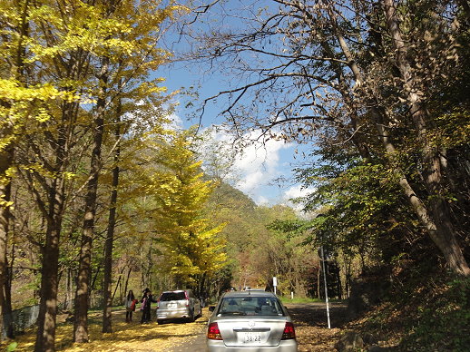 DSC06372.jpg DSC06372.jpg