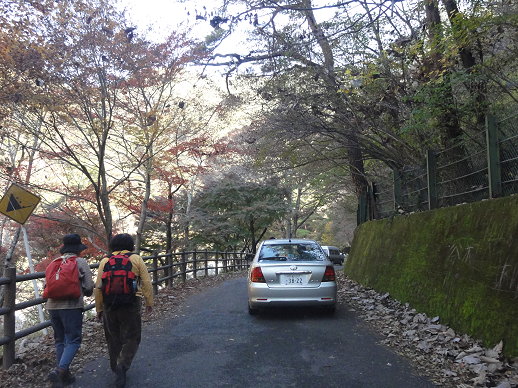 DSC06365.jpg DSC06365.jpg