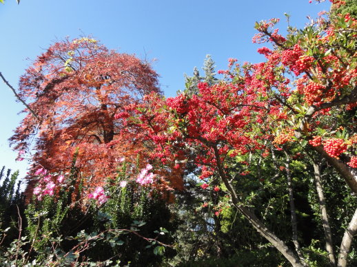 DSC07770.jpg DSC07770.jpg