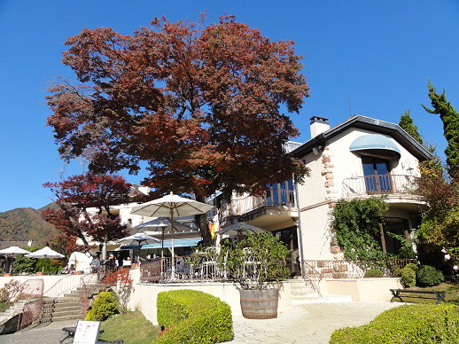 DSC07893.jpg DSC07893.jpg