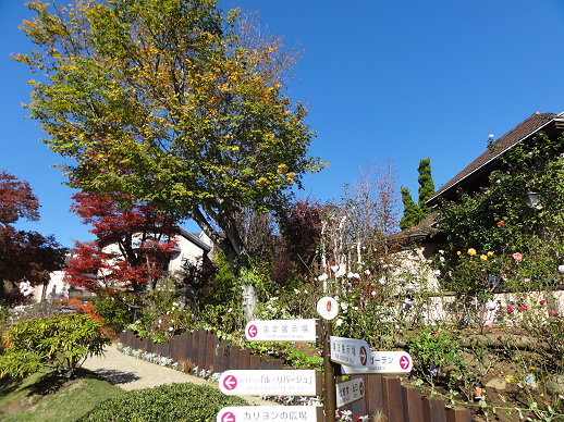 DSC07929.jpg DSC07929.jpg