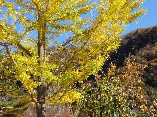 DSC08221.jpg DSC08221.jpg