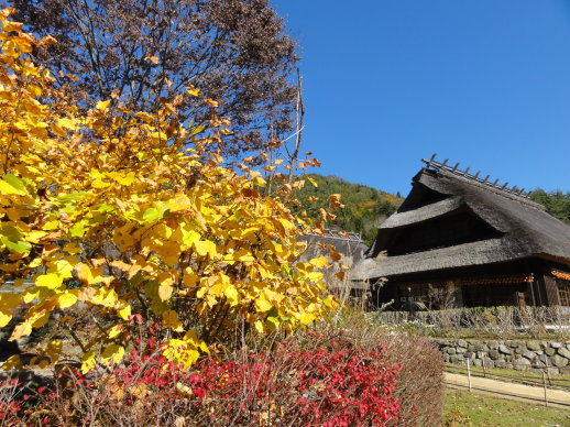DSC08209.jpg DSC08209.jpg