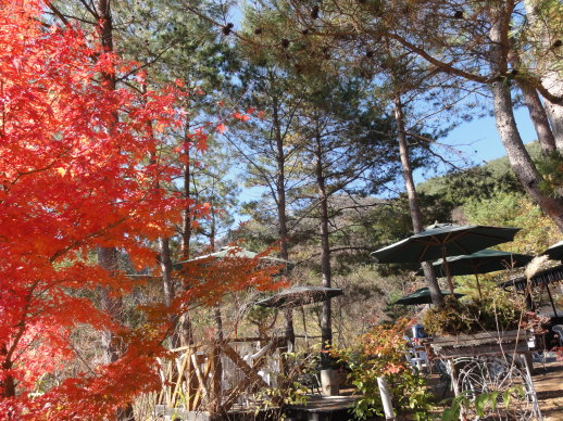DSC08228.jpg DSC08228.jpg