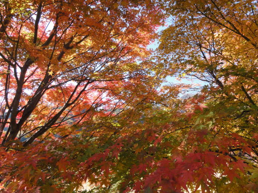 DSC08240.jpg DSC08240.jpg