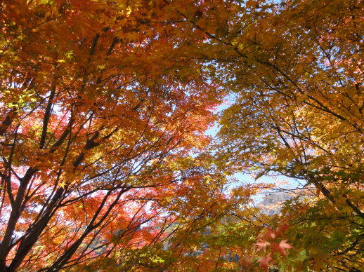 DSC08241.jpg DSC08241.jpg