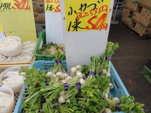 DSC08282.jpg DSC08282.jpg