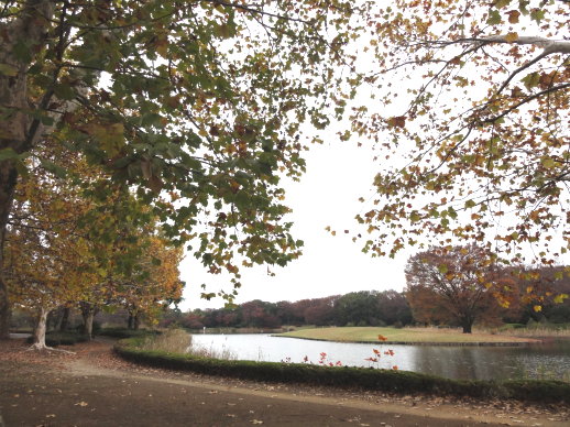 DSC09153 DSC09153