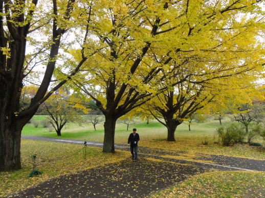 DSC09214 DSC09214