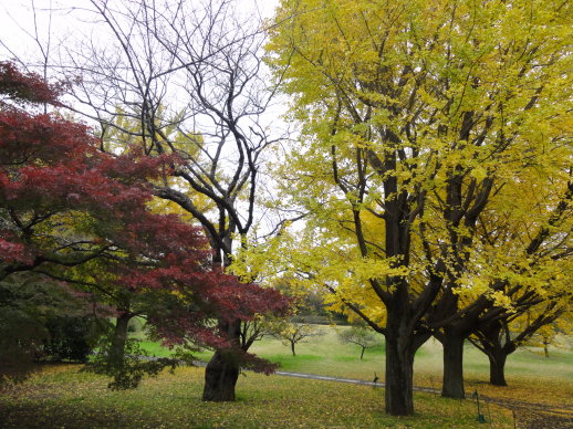 DSC09249 DSC09249