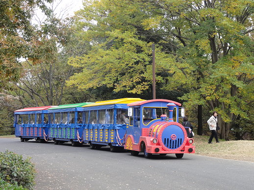 DSC09290 DSC09290