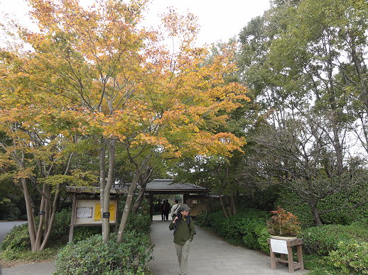 DSC09287 DSC09287