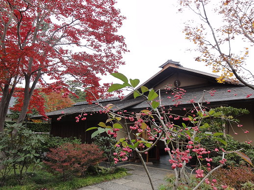 DSC09305 DSC09305