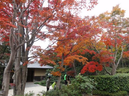 DSC09310 DSC09310