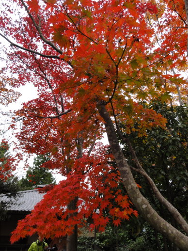 DSC09312 DSC09312