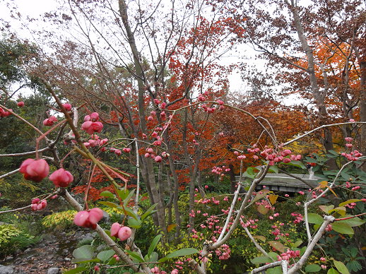 DSC09334 DSC09334