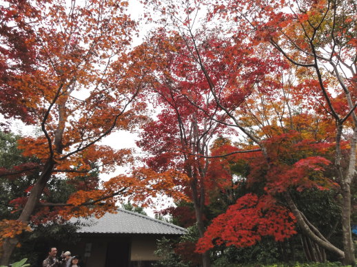 DSC09340 DSC09340