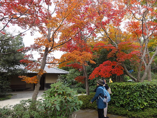 DSC09379 DSC09379