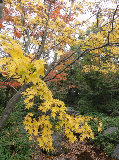 DSC09385 DSC09385