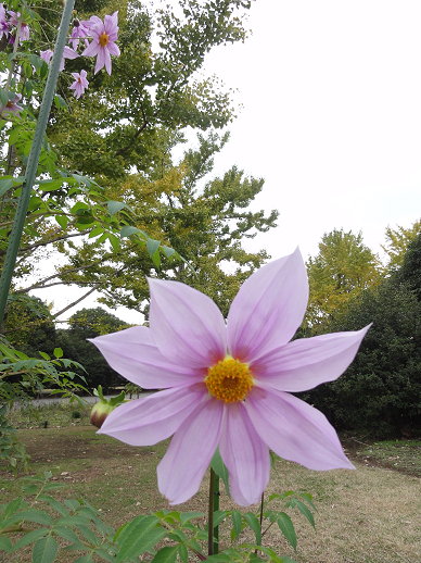 DSC09423 DSC09423