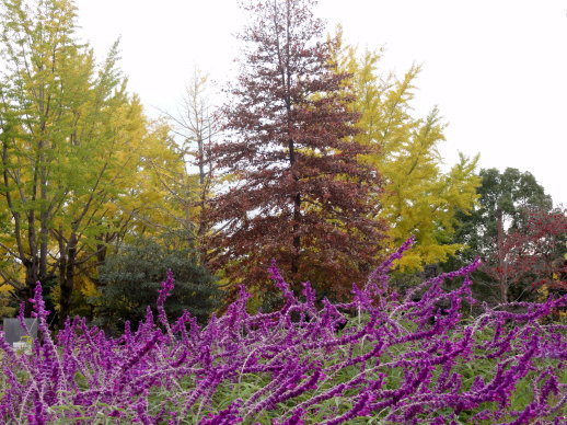 DSC09420 DSC09420