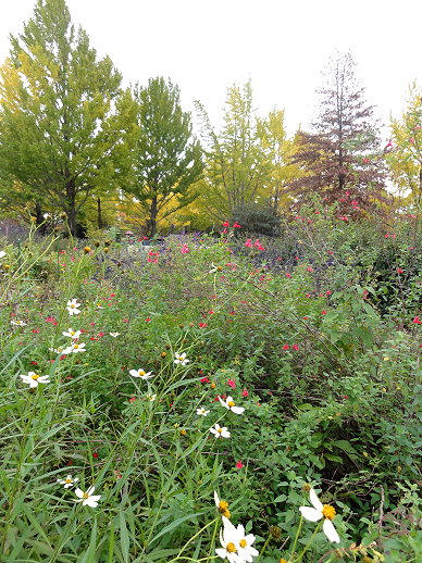 DSC09435 DSC09435