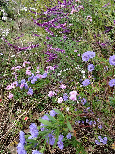 DSC09453 DSC09453
