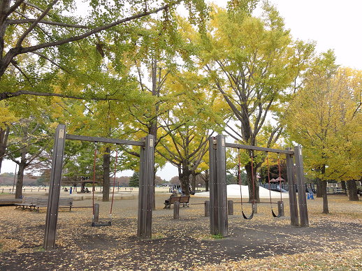 DSC09470 DSC09470